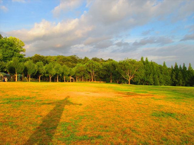 秋の気配が おでかけナビ 名古屋と愛知の公園であそぼう