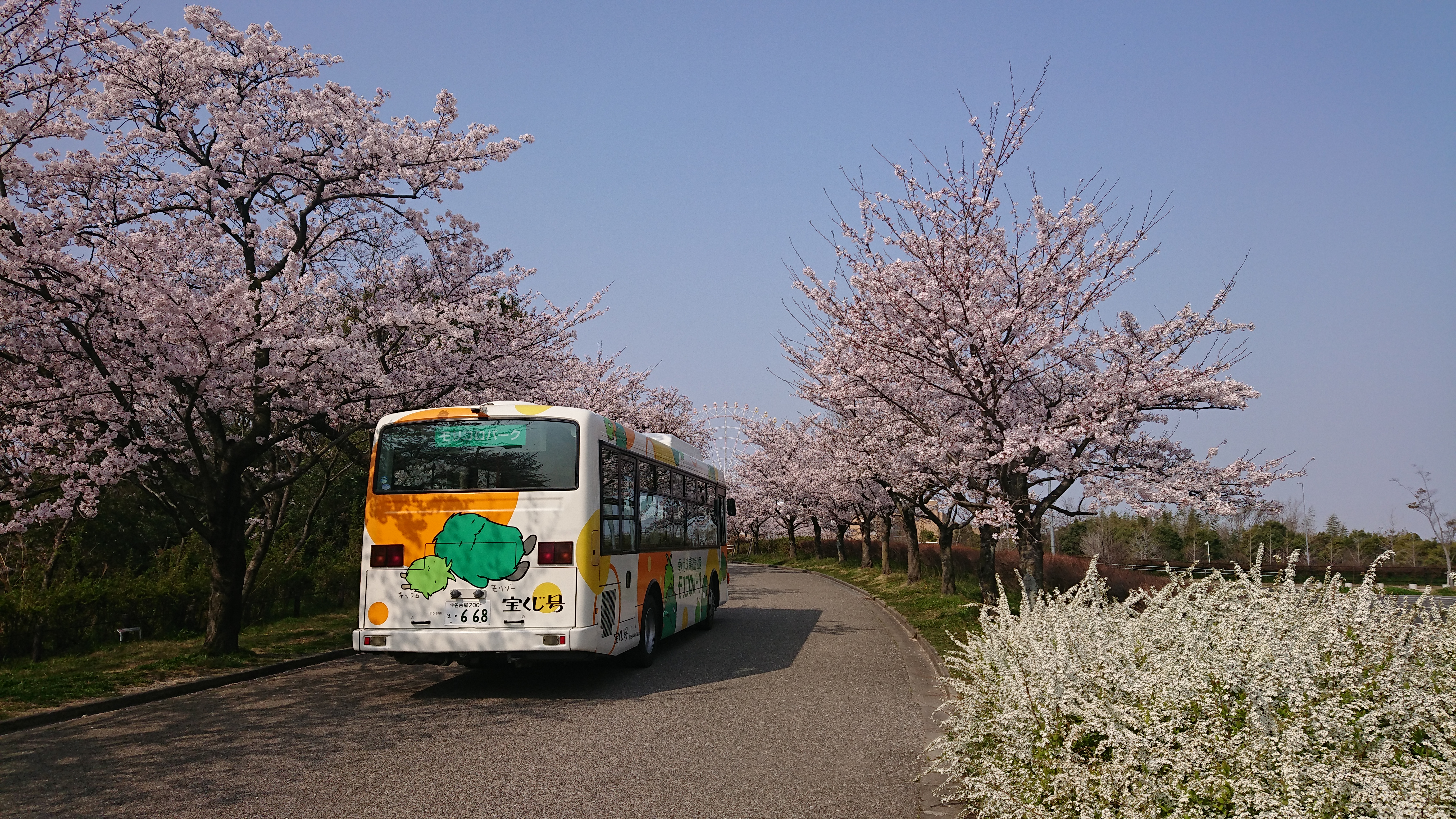 モリコロパークでお花見を おでかけナビ 名古屋と愛知の公園であそぼう