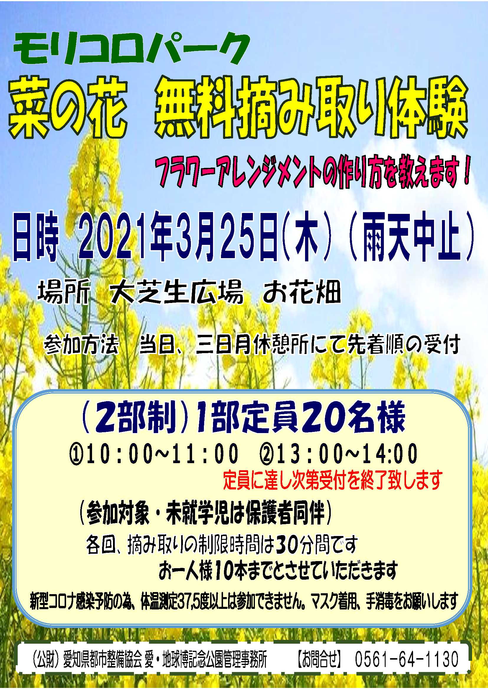 菜の花 無料摘み取り体験 午後の部も定員に達しました